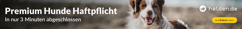 Premium Hunde-Haftpflichtschutz